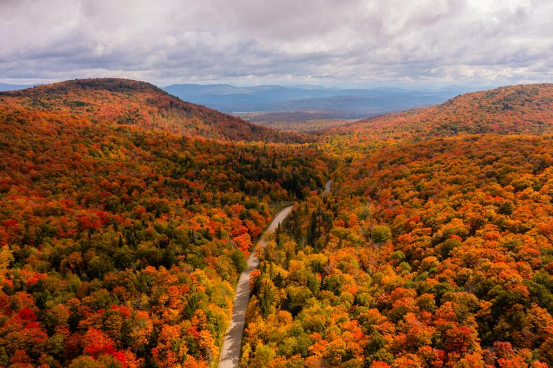 Seen from above, a road passes through a forest of red, orange, and yellow trees with mountains visible from both sides. A map of Vermont with red, orange, and yellow visible and regions outlined is overlaid.