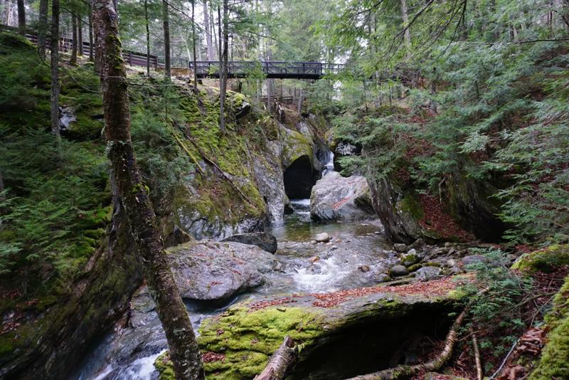 A rocky, moss-covered stream flows through a dense forest with a wooden pedestrian bridge visible spanning high across the gorge in the background.