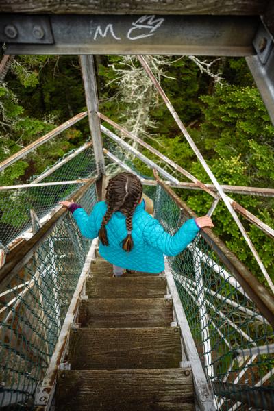 Looking down from above, a child wearing a bright blue jacket climbs up the narrow wooden stairs of a metal fire lookout tower surrounded by green treetops.