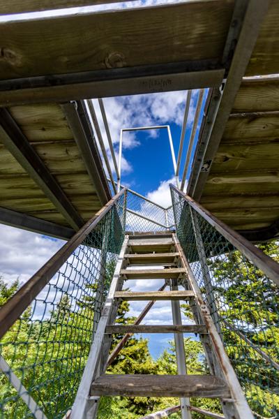 A first-person perspective climbing a fire tower, with narrow wooden stairs leading to a view of blue sky and trees surrounding. 