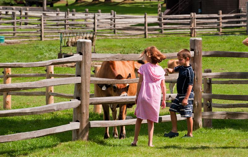 Two young children stand at a rustic wooden split-rail fence in a grassy pasture, looking at a brown cow inside the enclosure on a sunny day.