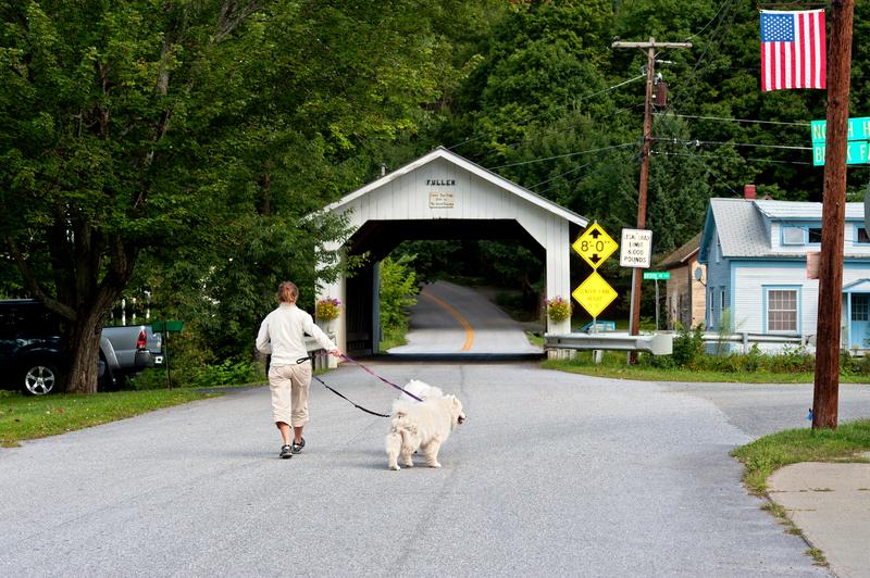 A person walks two dogs toward a covered bridge in Vermont.