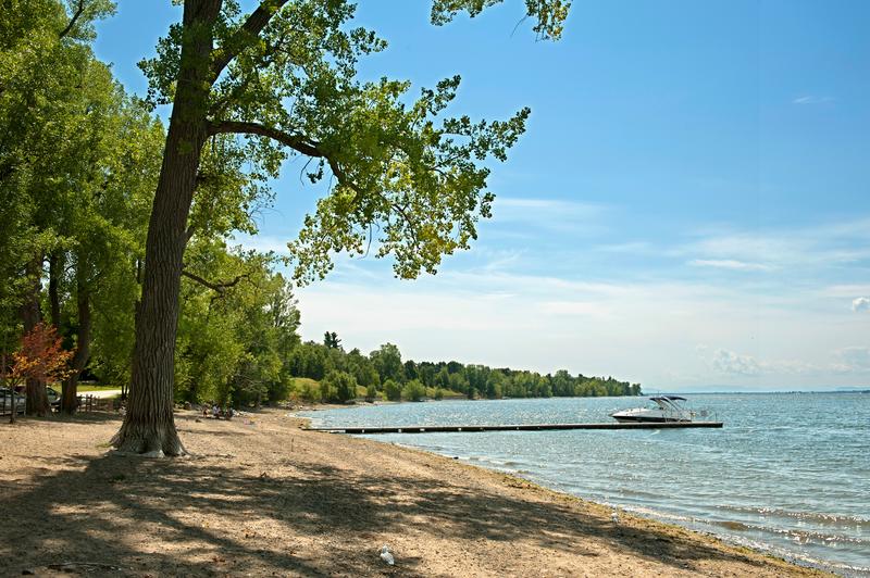 A sandy beach shoreline shaded by large, leafy green trees, with a long wooden dock extending into a wide lake where a small motorboat is moored under a partly cloudy blue sky.