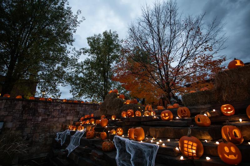 An event at night with glowing pumpkins decorated for Halloween.