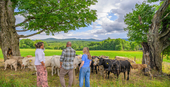 Three people stand in a pasture watching cows grazing. Mountains are visible in the distance.