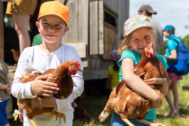 Two children holding chickens seen up close outdoors at a farm in summer.