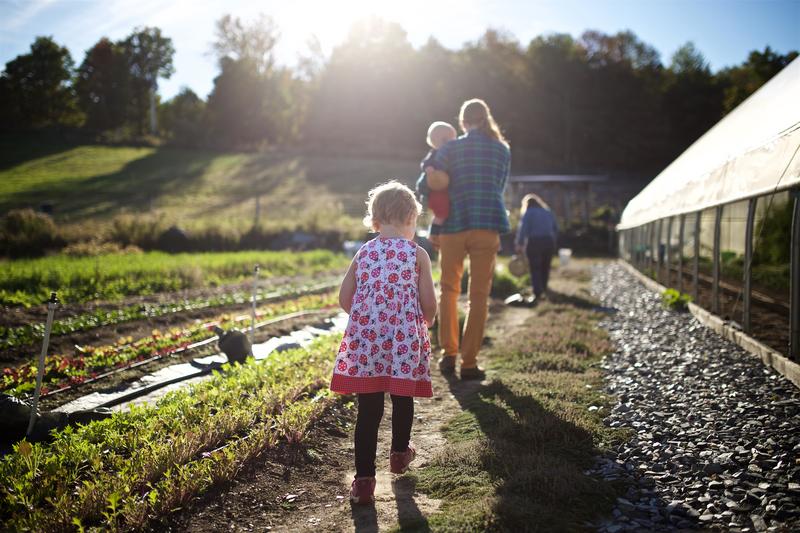 A child and two adults walk along a sunny path outside a greenhouse at a farm. One adult carries a baby.