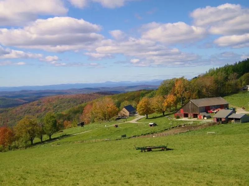 Hillside farm barn with green pasture, blue sky and trees beginning to change for fall.