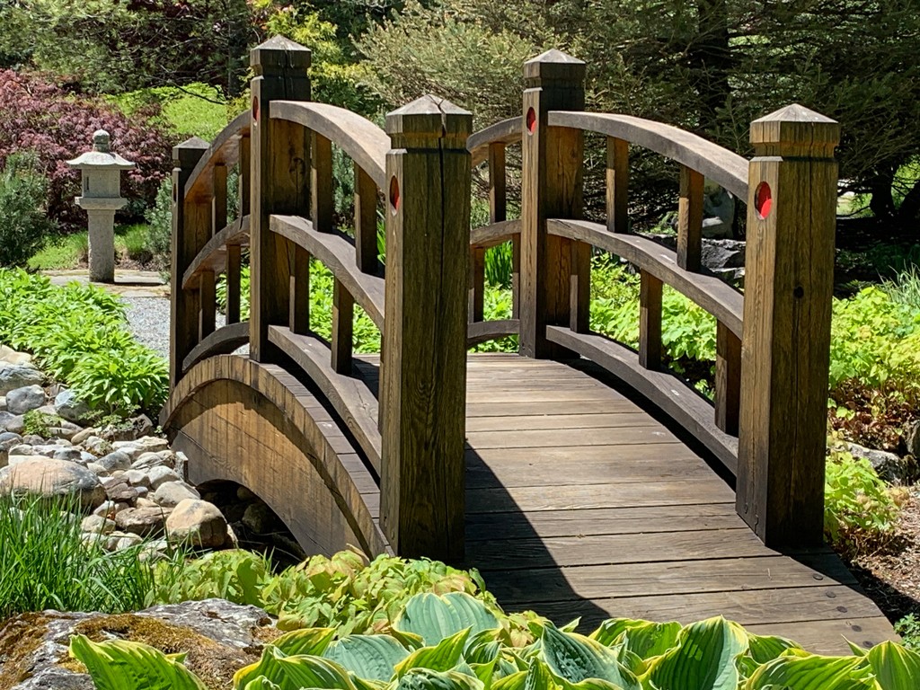 A wooden arched bridge over a creek in the Japanese garden at Seven Springs.