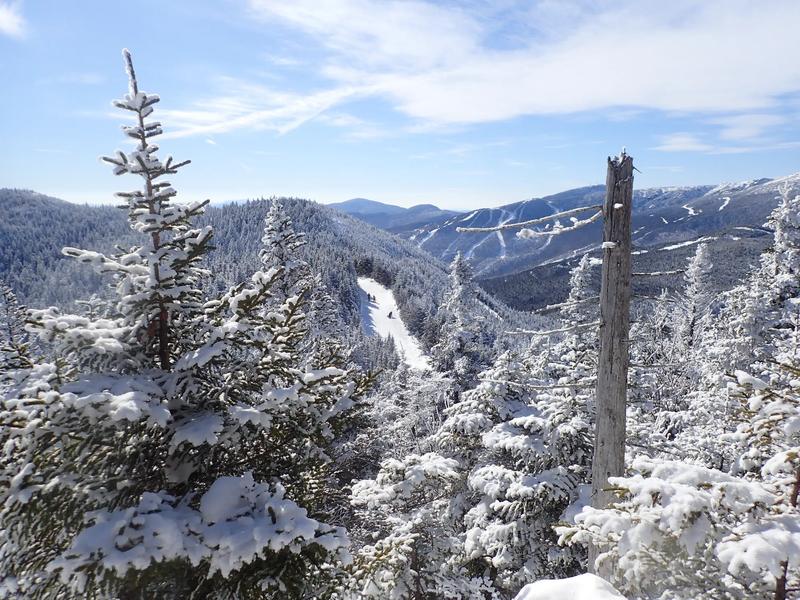 View of snow covered trees and a ski run in the distance on a clear blue day.